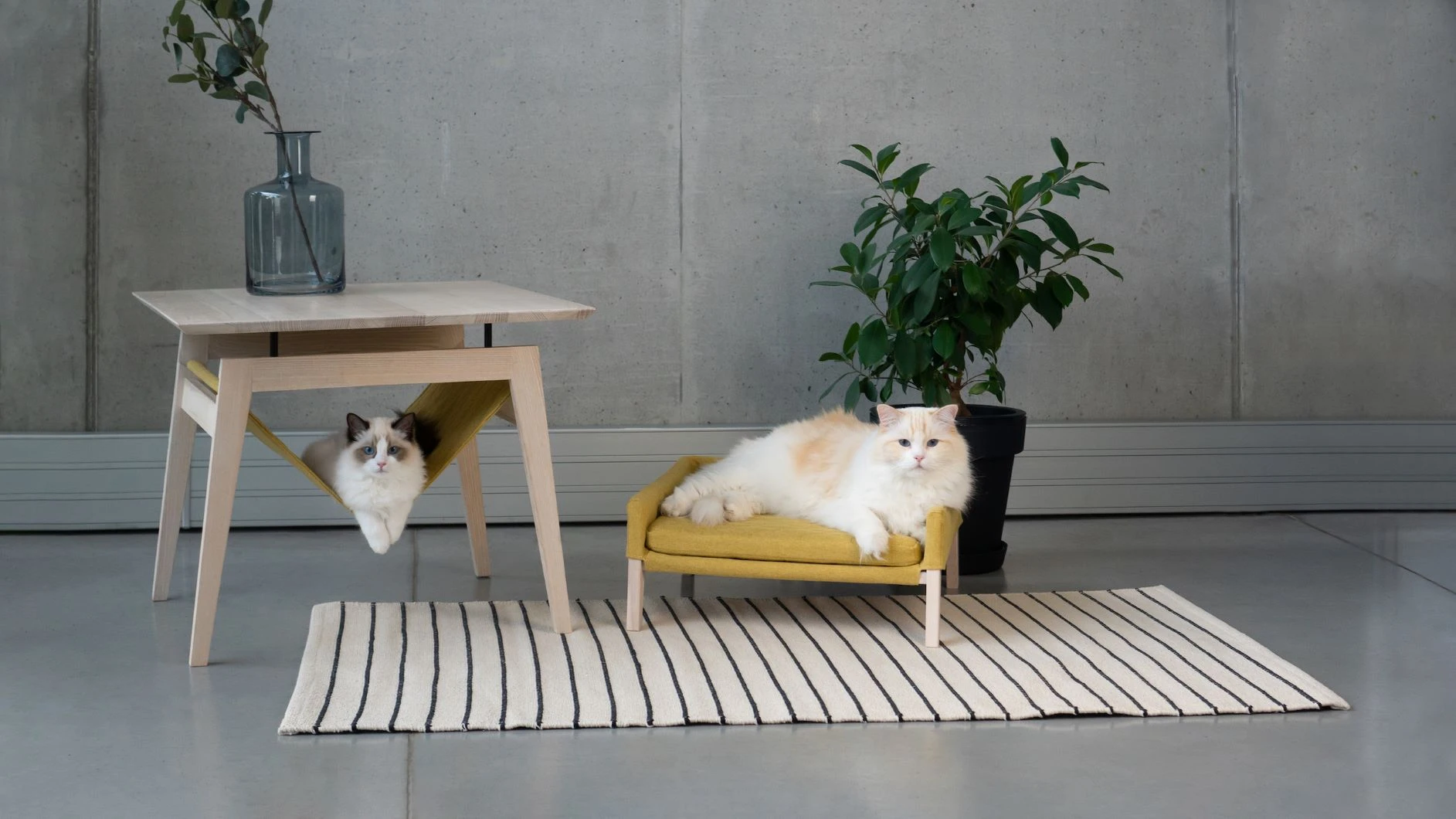 Labbvenn Banquette Lit Pour Chat Et Chien Lulu 2 Labbvenn Banquette Lit Pour Chat Et Chien Lulu – Image 2