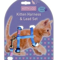 Hemmo And Co Harnais Réglable Et Laisse Pour Chaton