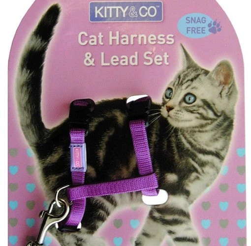 Hemmo And Co Harnais Et Laisse Couleur Unie Pour Chat 3 Hemmo And Co Harnais Et Laisse Couleur Unie Pour Chat – Image 3