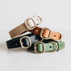 Band&roll Collier Pour Chien En Cuir Fir Band & Roll