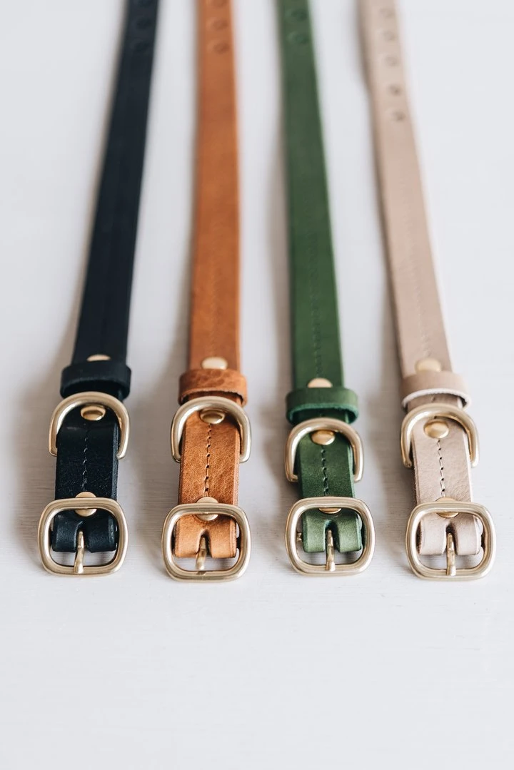 Band&roll Collier Pour Chien En Cuir Fir Band & Roll 7 Band&roll Collier Pour Chien En Cuir Fir Band & Roll – Image 7