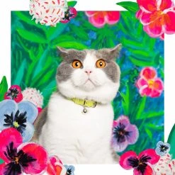 Cheshire & Wain Collier Pour Chat En Cuir Louis Wain -dog food shop LouisWain CheshireAndWain RachelOates Green Cat Collar 1800x1800 5e935efb caa2 4d8e bba9 d3451f03f747