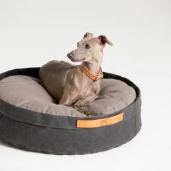 2.8 Duepuntootto Coussin Pour Chat Et Chien Irvin (3 Couleurs) -dog food shop MG 0840