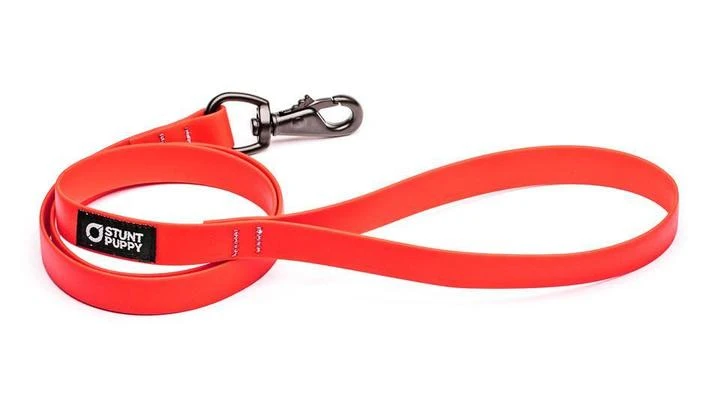 Stunt Puppy Laisse Biothane Imperméable (5 Couleurs) 5 Stunt Puppy Laisse Biothane Imperméable (5 Couleurs) – Image 5