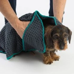 2.8 Duepuntootto Serviettes Absorbante Sally -dog food shop MG 8502