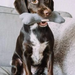 Alternative view of Band&roll Jouet Pour Chien Os Qui Couine