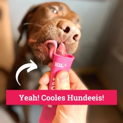 BeG Buddy Moule à Glace Pour Chien Ice Pops