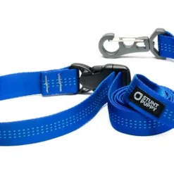 Stunt Puppy Laisse Souple Everyday (3 Couleurs) 12 Stunt Puppy Laisse Souple Everyday (3 Couleurs) -dog food shop SP Leashes Large Blue 900x d80fc47a 1da2 48a7 97e5 16cda7c299a6