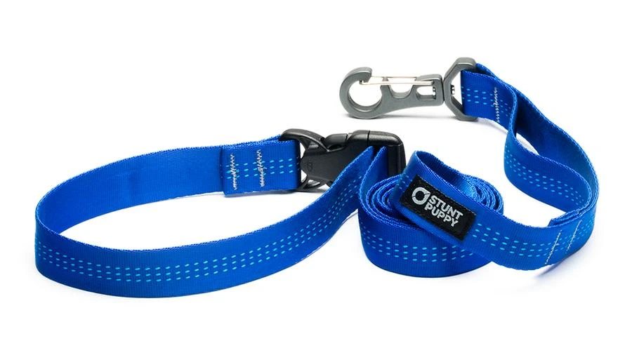 Stunt Puppy Laisse Souple Everyday (3 Couleurs) 6 Stunt Puppy Laisse Souple Everyday (3 Couleurs) – Image 6