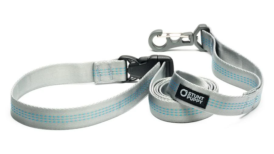 Stunt Puppy Laisse Souple Everyday (3 Couleurs) 7 Stunt Puppy Laisse Souple Everyday (3 Couleurs) – Image 7