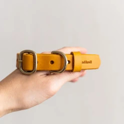 Band&roll Collier Pour Chien En Cuir Fir Band & Roll 15 Band&roll Collier Pour Chien En Cuir Fir Band & Roll -dog food shop Screenshot2022 01 27at17 14 45LEATHERDOGCOLLARFIR BANDROLL