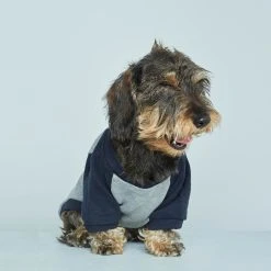 Alternative view of The Painter's Wife Sweat Pour Chien Blinky