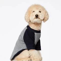 The Painter's Wife Sweat Pour Chien Blinky