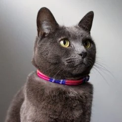 Alternative view of Hiro + Wolf Collier Pour Chat Shuka Red Tartan