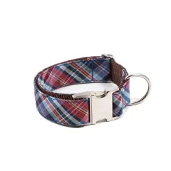 BROTT Laisse Pour Chien Gosol 4 BROTT Laisse Pour Chien Gosol -dog food shop TexturaGosolL 749a8a90 92e3 454e bd09 876c754ae285 scaled
