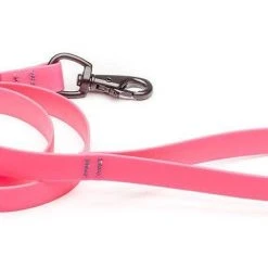 Stunt Puppy Laisse Biothane Imperméable (5 Couleurs)