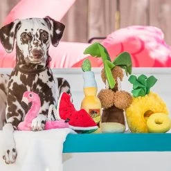 PLAY Peluche Pour Chien Ananas 5 PLAY Peluche Pour Chien Ananas -dog food shop Westway Studio PLAY 111220 002 web