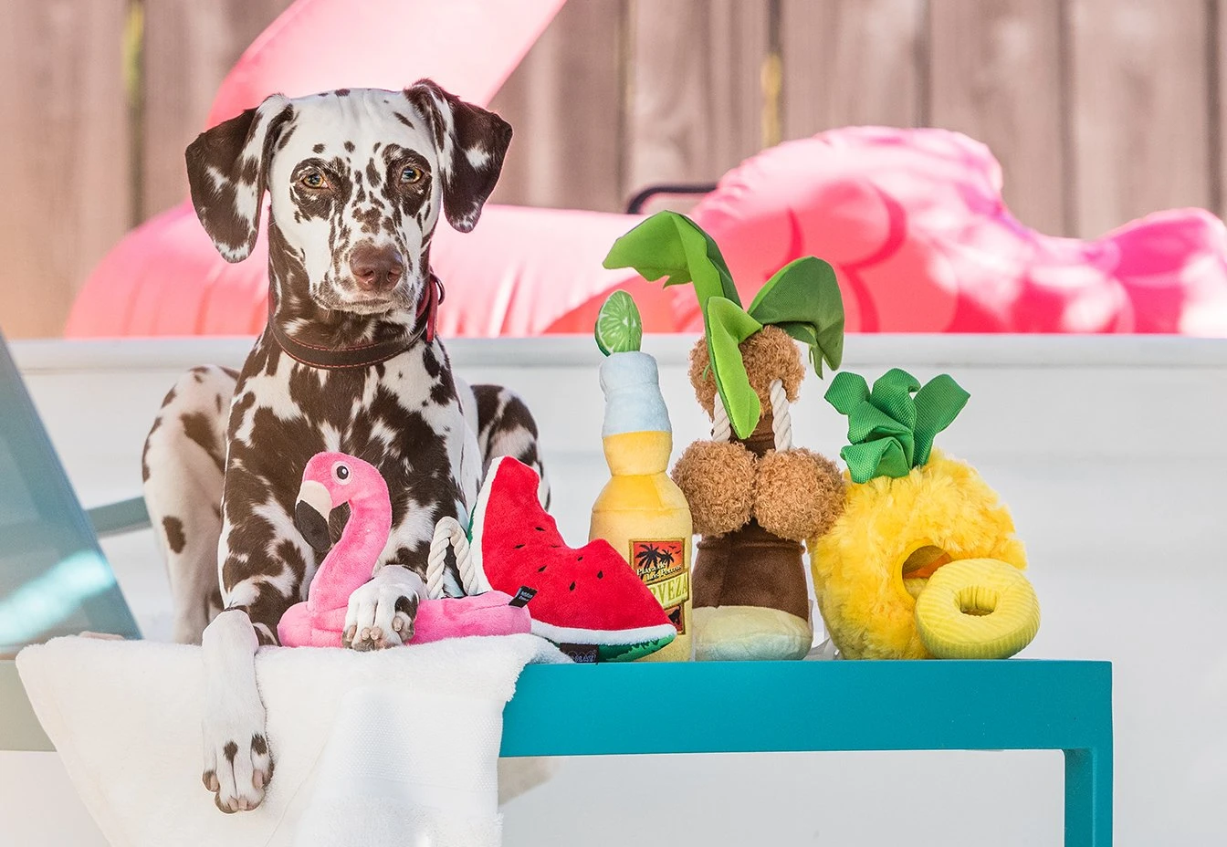 PLAY Peluche Pour Chien Ananas 3 PLAY Peluche Pour Chien Ananas – Image 3