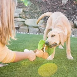 PLAY Peluche Pour Chien Palmier 5 PLAY Peluche Pour Chien Palmier -dog food shop Westway Studio PLAY 111220 043 web