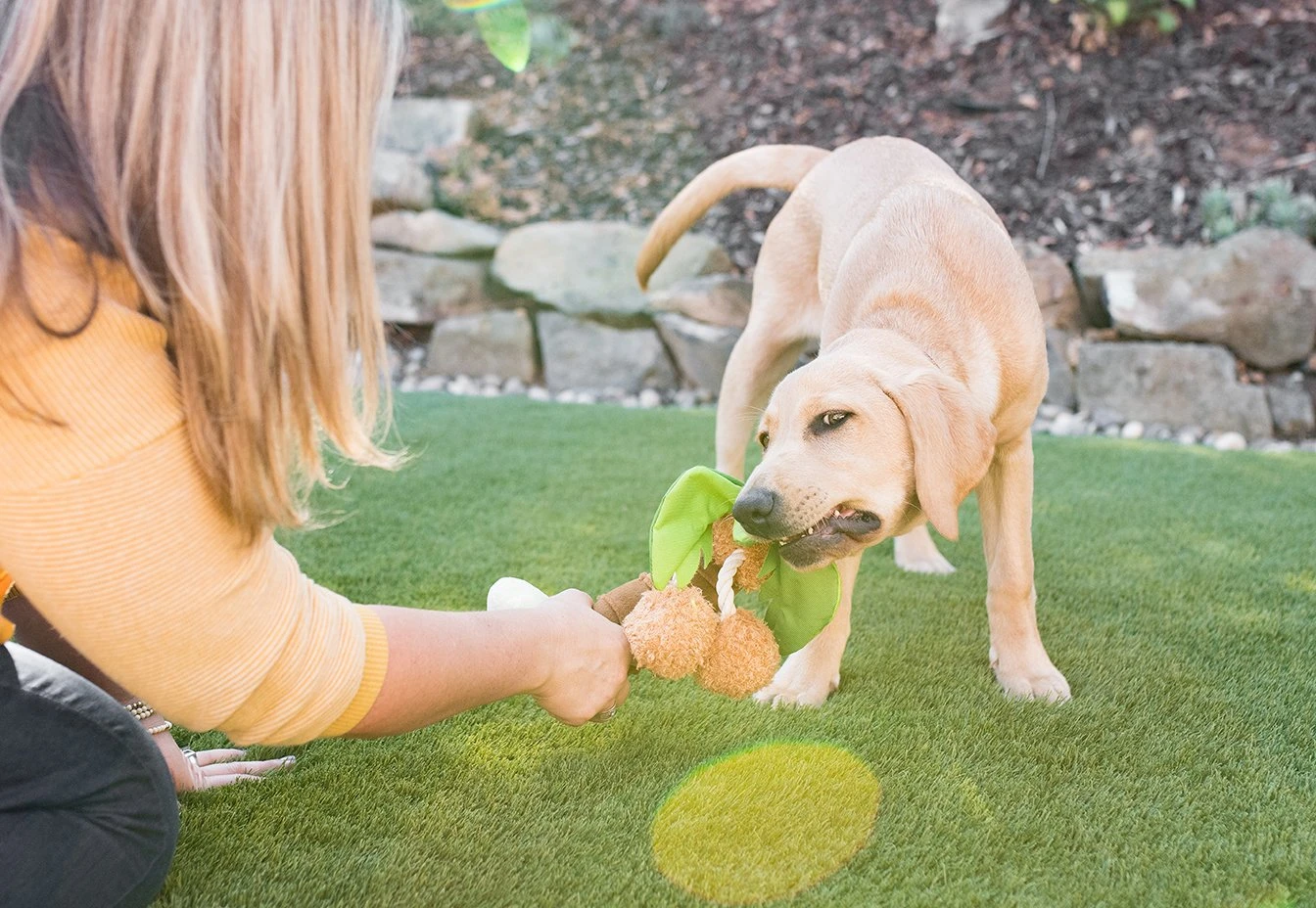 PLAY Peluche Pour Chien Palmier 3 PLAY Peluche Pour Chien Palmier – Image 3