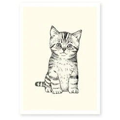 Briki Vroom Vroom Affiche Décorative A4 Chaton