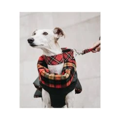 BROTT Manteau D'hiver Pour Lévriers -dog food shop abrigo para galgo de cuadros tartan de color naranja b0531385 3054 4baa 8039 25d6d8145021