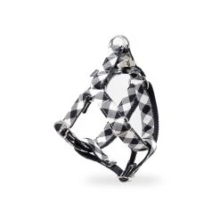 BROTT Harnais Parachute Pour Chien Cadi