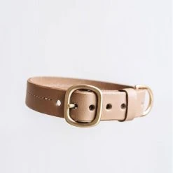 Band&roll Collier Pour Chien En Cuir Fir Band & Roll 14 Band&roll Collier Pour Chien En Cuir Fir Band & Roll -dog food shop band roll collier beige
