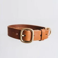 Band&roll Collier Pour Chien En Cuir Fir Band & Roll 16 Band&roll Collier Pour Chien En Cuir Fir Band & Roll -dog food shop band roll collier tan
