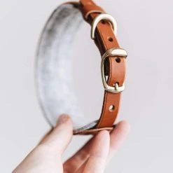 Band&roll Collier Pour Chien Pine En Cuir Et Laine 16 Band&roll Collier Pour Chien Pine En Cuir Et Laine -dog food shop band roll pets leather wool felt dog collar pine kaufmann mercantile 29923610296492 620x f9270eb6 dda2 47cf 8c9b 8b2de8b7069a
