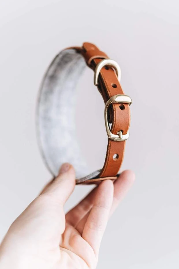Band&roll Collier Pour Chien Pine En Cuir Et Laine 4 Band&roll Collier Pour Chien Pine En Cuir Et Laine – Image 4