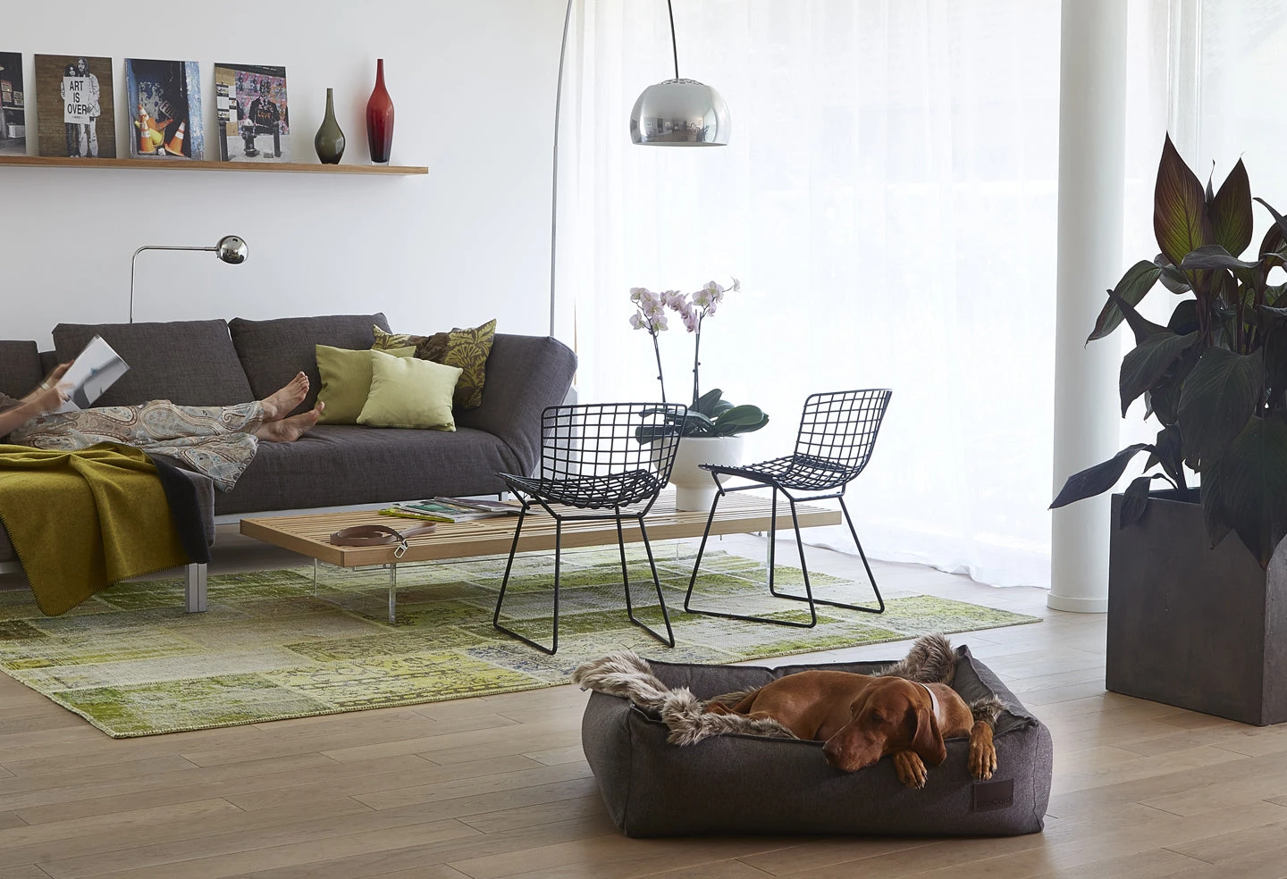 MiaCara Panier Pour Chien Nube 5 MiaCara Panier Pour Chien Nube – Image 5