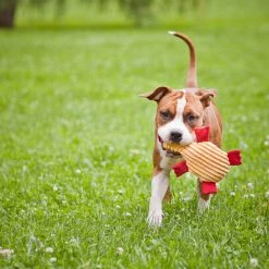 Alternative view of Bowl And Bone Jouet Pour Chien Stimulant Duckie