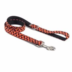 BROTT Laisse Pour Chien Er