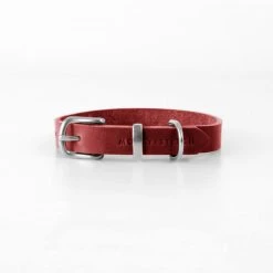 Molly And Stitch Collier Pour Chien En Cuir Souple The Classic 26 Molly And Stitch Collier Pour Chien En Cuir Souple The Classic -dog food shop butter dog collar chili red 85f38e12 99cf 4ddd baa0 19187e81ad6a