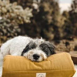 Band&roll Matelas De Voyage Pour Chien Enroulable Compass Band & Roll -dog food shop cf04a81573bc75b8c31670d4c7ac9c8f