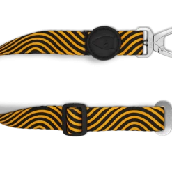 Ceinture De Sécurité Morso 19 Ceinture De Sécurité Morso -dog food shop cintura sicurezza must hard maze header top transparent 02