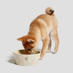Cloud 7 Bol Pour Chien En Céramique Yoji 5 Cloud 7 Bol Pour Chien En Céramique Yoji -dog food shop cloud7 dog bowl yoji dots dog 2
