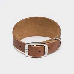 Cloud 7 Collier En Cuir Pour Lévrier -dog food shop cloud7 dog collar regent park camel on grey