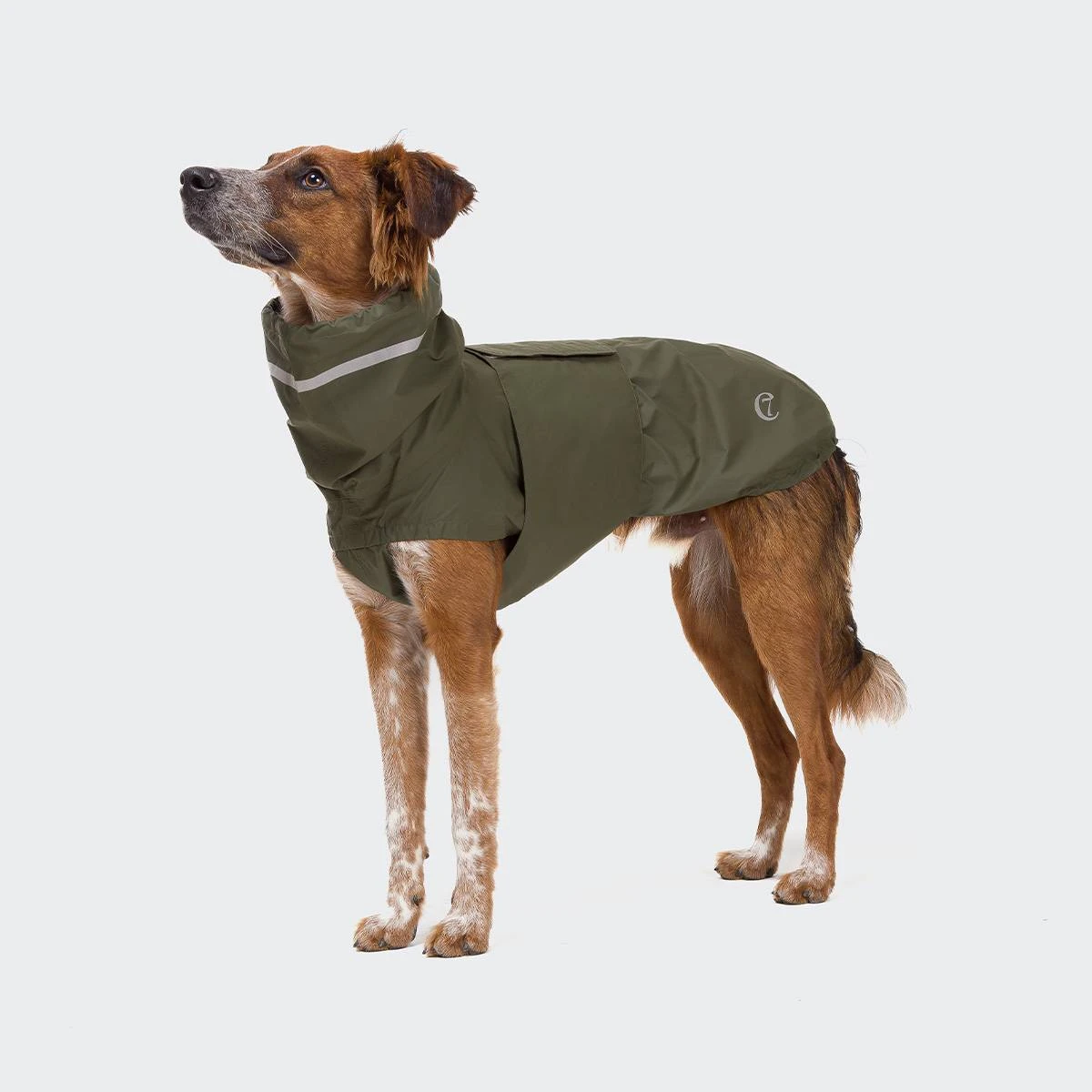 The Painter's Wife Imperméable Pour Moyens Et Grands Chiens 2 The Painter's Wife Imperméable Pour Moyens Et Grands Chiens – Image 2