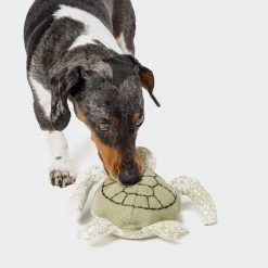 Alternative view of Cloud 7 Jouet Tortue Pour Chien Enna