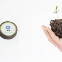 Nidoo, L'arbre Après La Vie -dog food shop coffin palets2