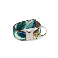BROTT Collier Pour Chien Ebre