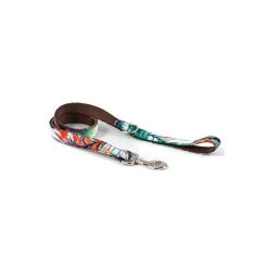 BROTT Collier Pour Chien Ebre 5 BROTT Collier Pour Chien Ebre -dog food shop collar para perro brottdog textura ebre dcd327b8 345c 49d7 90ce b8ab1d3508be