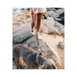 Alternative view of BROTT Collier Pour Chien Escranc