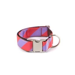 BROTT Collier Pour Chien Sagaro Classique Et Martingale