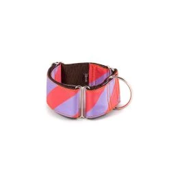 Alternative view of BROTT Collier Pour Chien Sagaro Classique Et Martingale