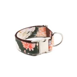 BROTT Collier Pour Chien Espelt