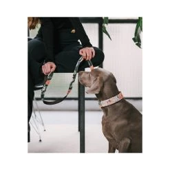 BROTT Laisse Pour Chien Espelt 3 BROTT Laisse Pour Chien Espelt -dog food shop collar perro estampado textura espelt 16224c8d 10eb 4af9 bce9 3c3ff5821432