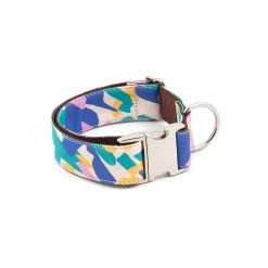 BROTT Collier Pour Chien Montroig
